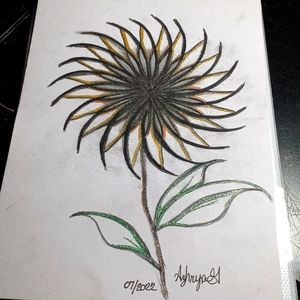 Crazy Beautiful Flower Drawing